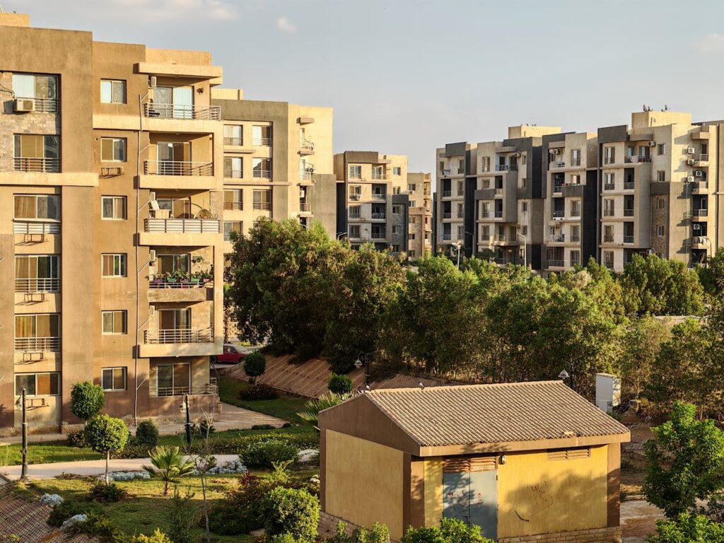 pexels photo 34190616.jpeg